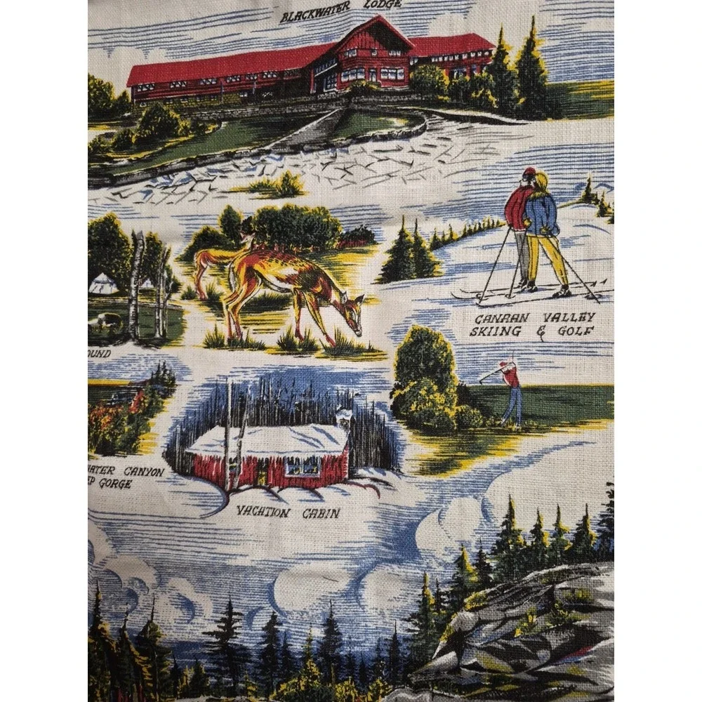 Blackwater Falls WV Souvenir Tea Towel Vintage Linen